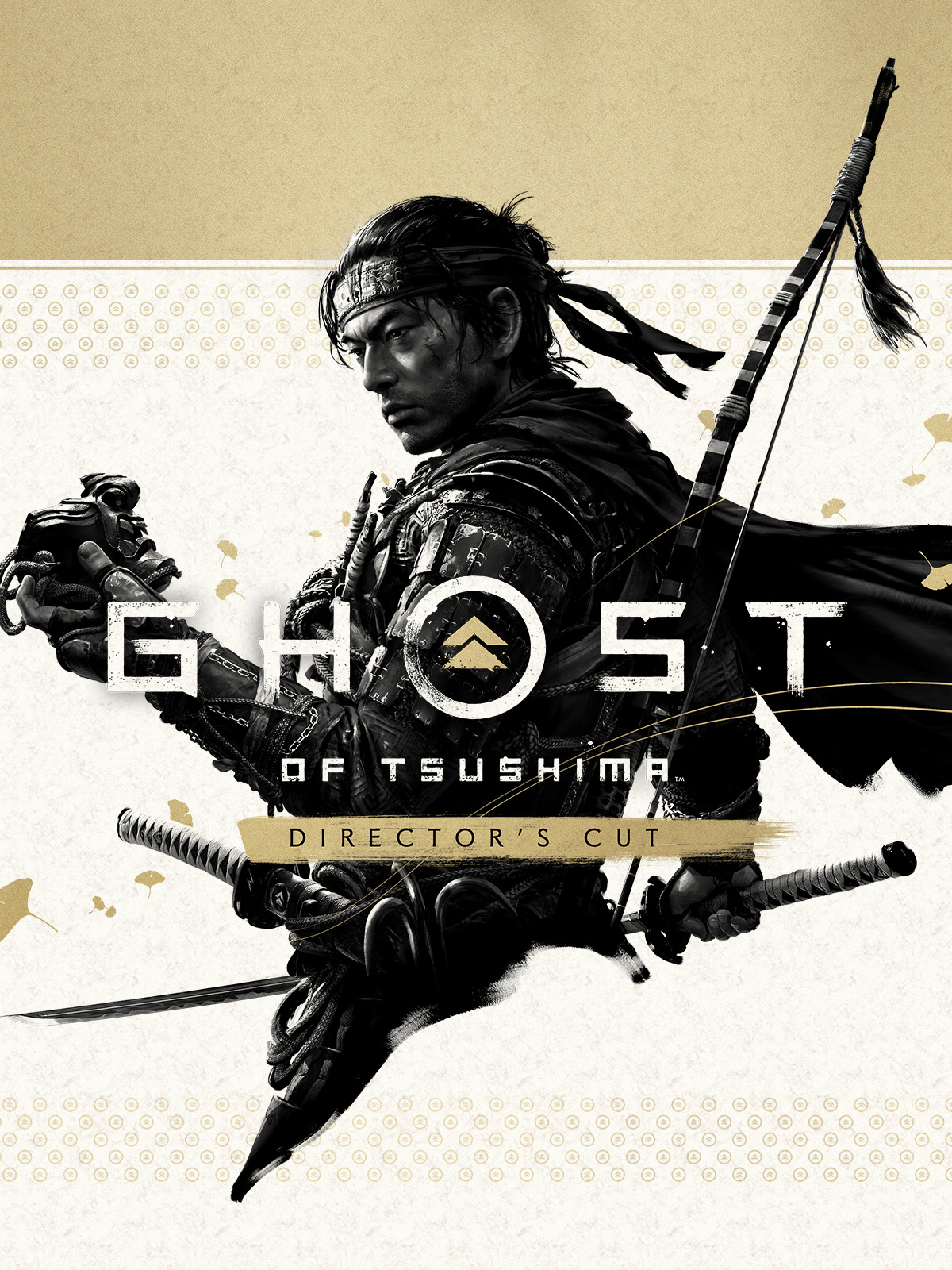 Capa de um jogo